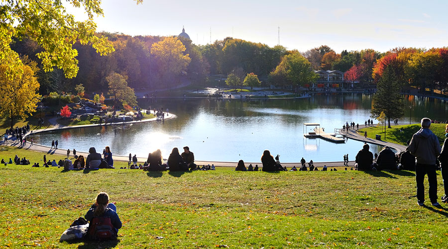 7 lieux de randonnée à Montréal