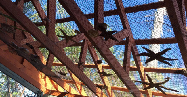 Auberge Internationale Le Tangon