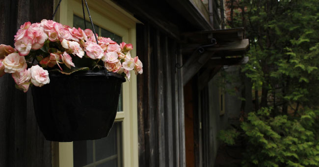 Le Chalet Buckhouse
