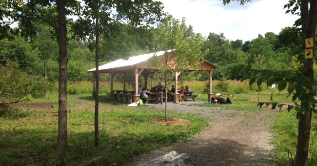 Bois de l'Équerre