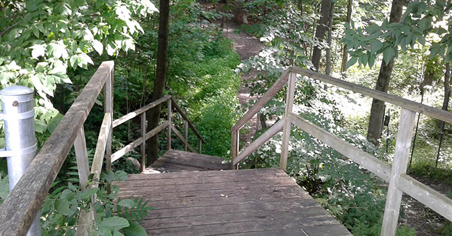 Bois Papineau