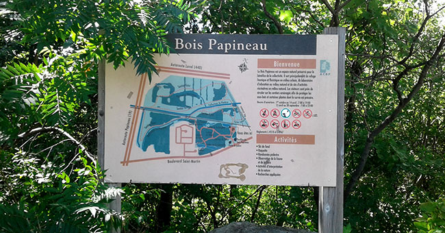 Bois Papineau