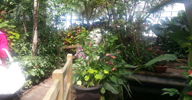 Centre de la nature