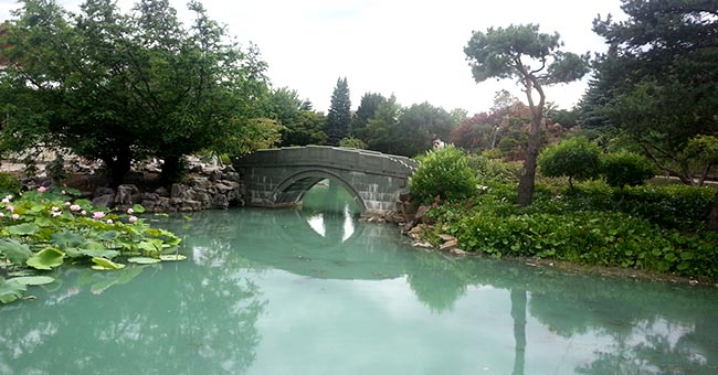 Jardin botanique