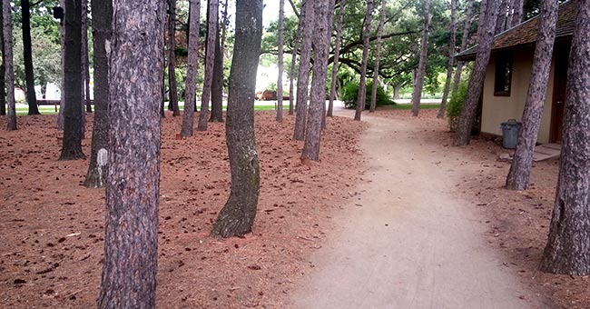 Jardin botanique