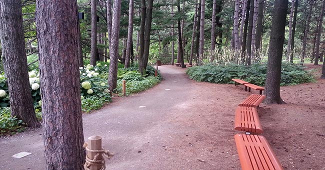 Jardin botanique