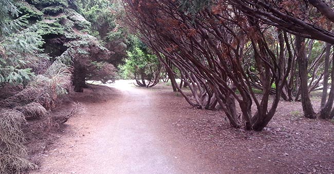 Jardin botanique