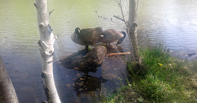 Jardin des Sources