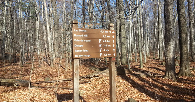 Réserve naturelle Gault (Mont Saint-Hilaire)