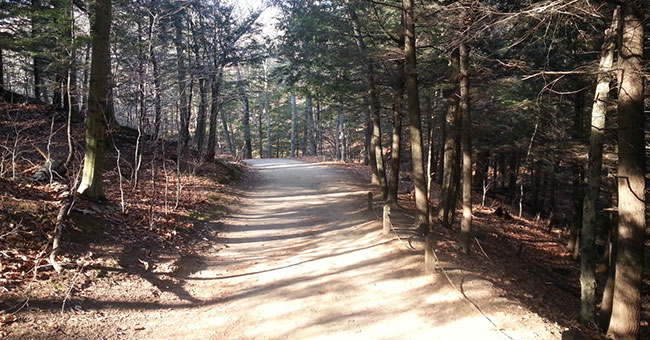 Réserve naturelle Gault (Mont Saint-Hilaire)