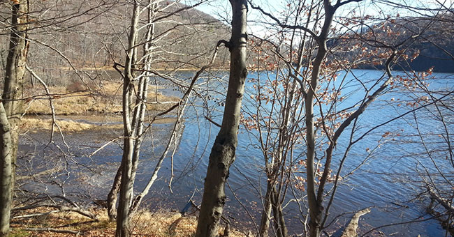 Réserve naturelle Gault (Mont Saint-Hilaire)