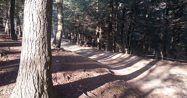 Réserve naturelle Gault (Mont Saint-Hilaire)