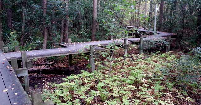 Parc-nature du Bois-de-Liesse