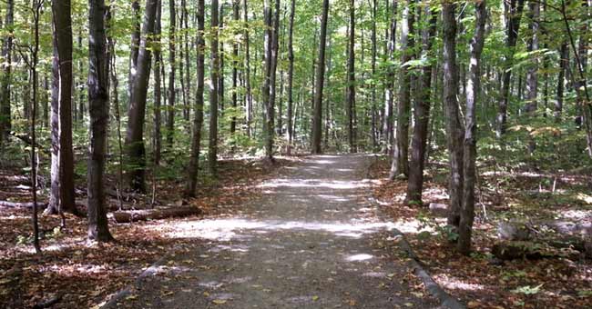 Parc-nature du Bois-de-Liesse