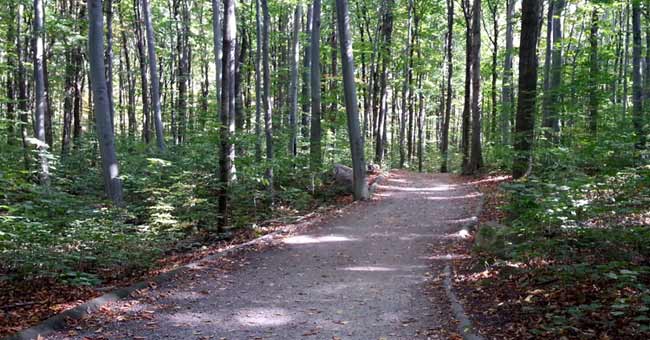 Parc-nature du Bois-de-Liesse