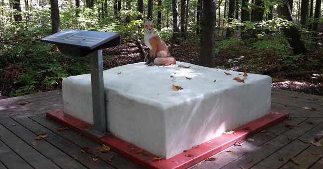 Parc-nature du Bois-de-Liesse