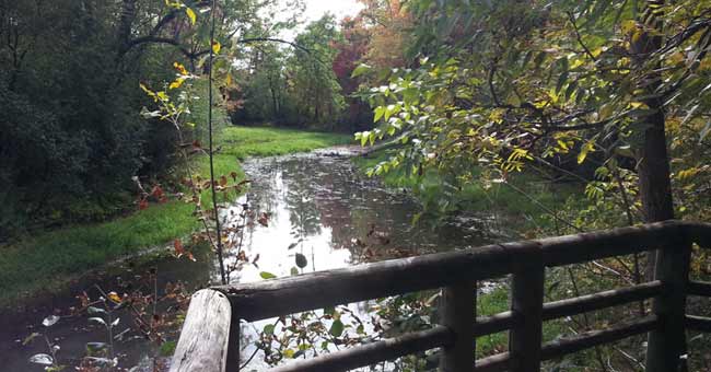 Parc-nature du Bois-de-Liesse