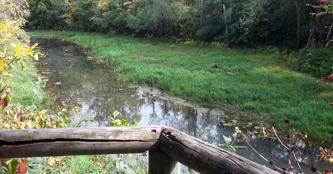 Parc-nature du Bois-de-Liesse