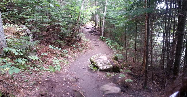 Parc de la caverne du Trou de la Fée