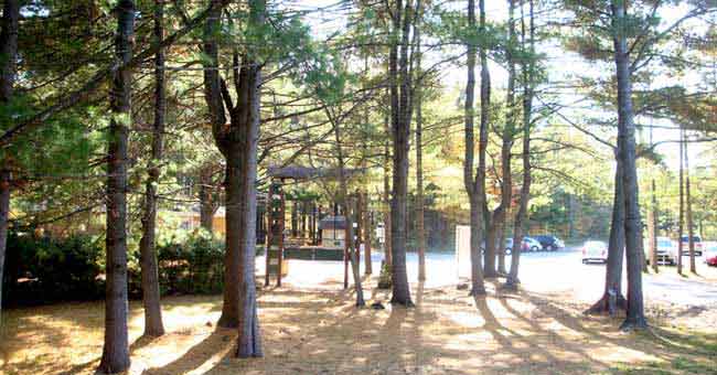 Parc du Domaine Vert