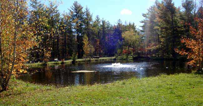 Parc du Domaine Vert