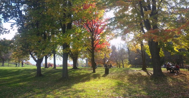 Parc du Mont-Royal