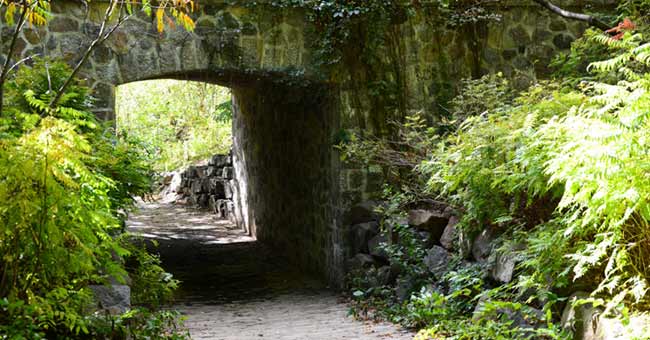 Parc du Mont-Royal