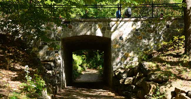 Parc du Mont-Royal