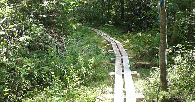Parc régional de la Forêt Ouareau