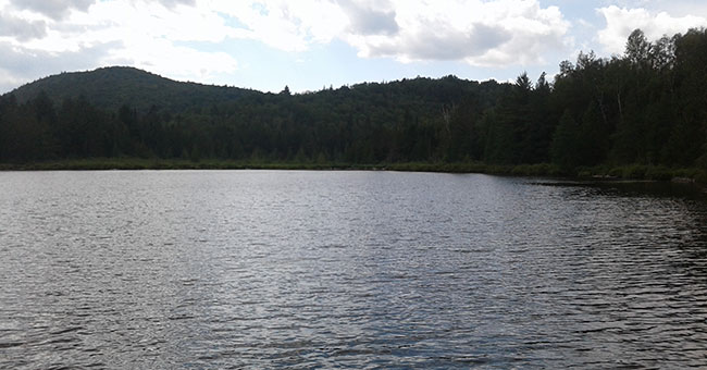 Parc régional de la Forêt Ouareau