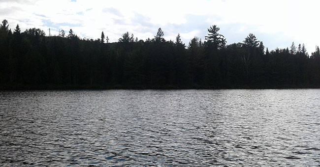 Parc régional de la Forêt Ouareau