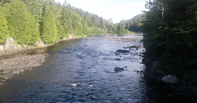 Parc régional de la Forêt Ouareau