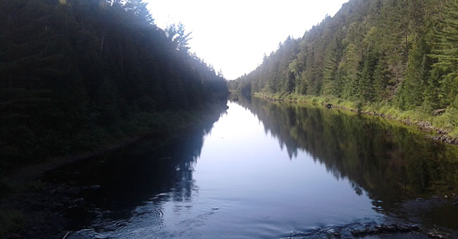 Parc régional de la Forêt Ouareau