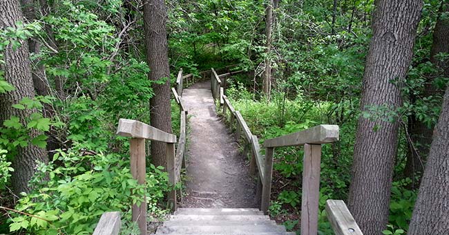 Parc-nature de l'Île-de-la-Visitation