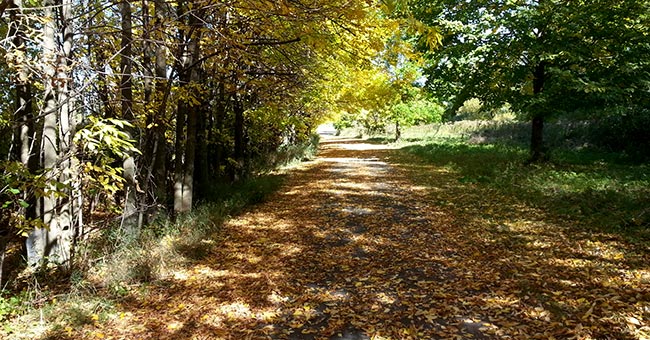Parc national des Îles-de-Boucherville