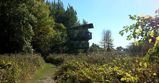 Parc national des Îles-de-Boucherville