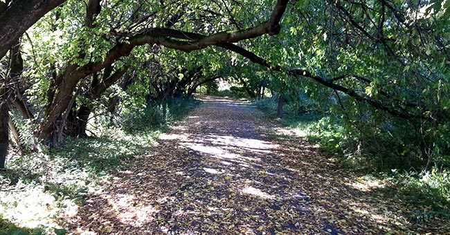 Parc national des Îles-de-Boucherville