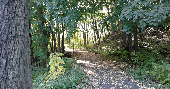 Parc Jean-Drapeau