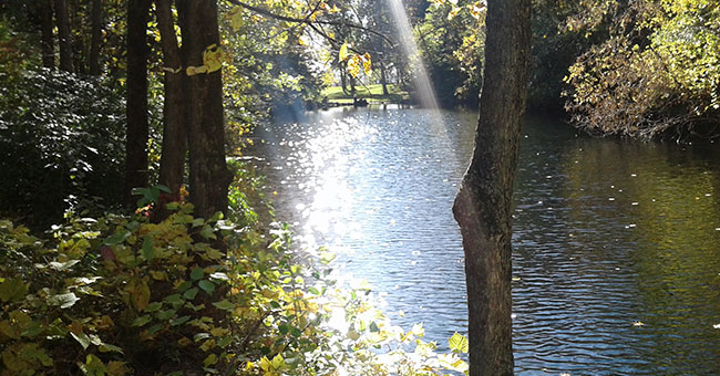 Parc Jean-Drapeau