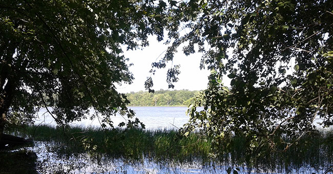 Parc-nature du Cap-Saint-Jacques