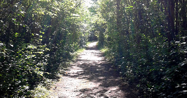Parc-nature du Cap-Saint-Jacques