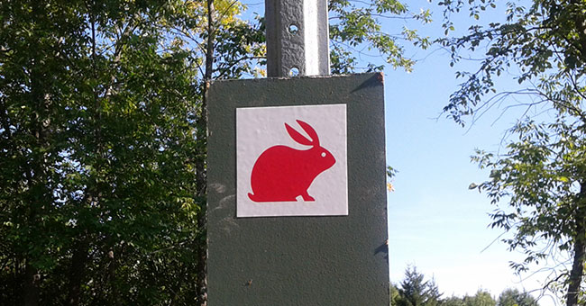 Parc-nature du Cap-Saint-Jacques