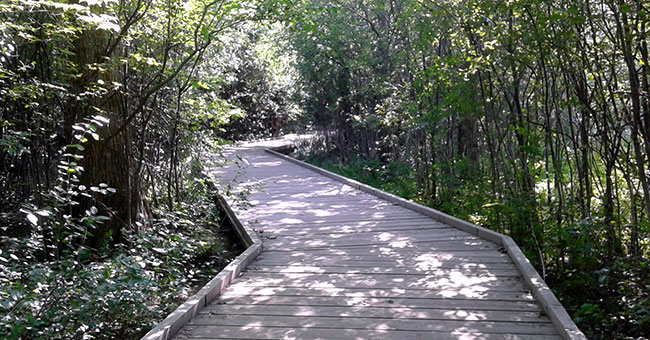 Parc-nature du Cap-Saint-Jacques