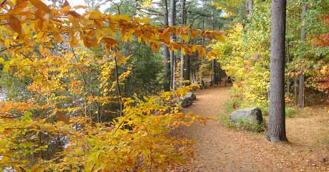 Parc régional de la Rivière-du-Nord