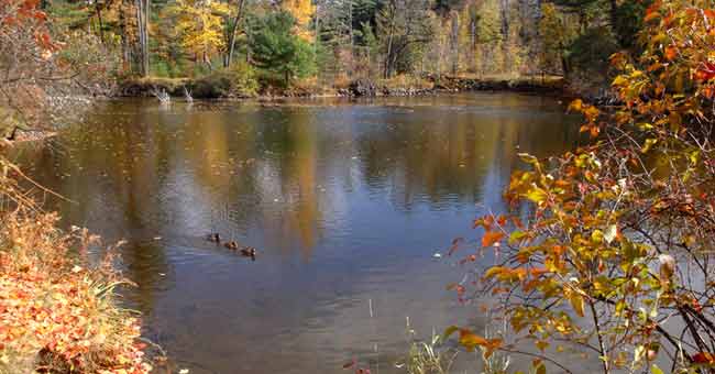 Parc régional de la Rivière-du-Nord