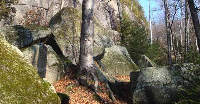 Parc régional de Val-David-Val-Morin