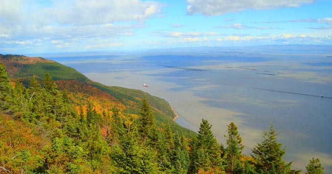 Réserve nationale de faune du cap Tourmente