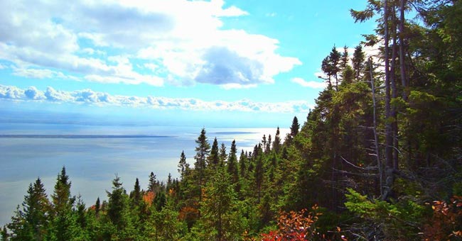Réserve nationale de faune du cap Tourmente